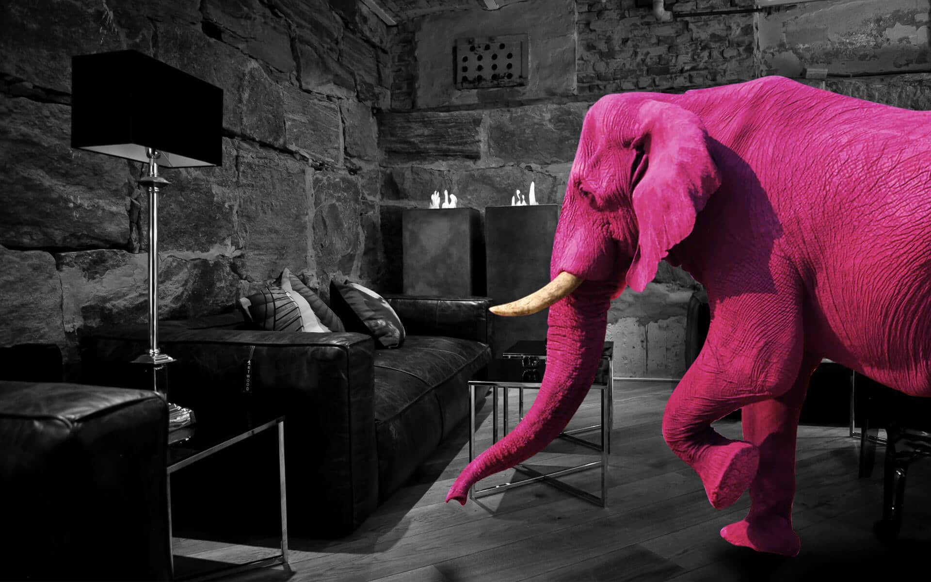 Pinkki norsu keskellä olohuonetta